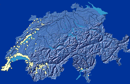 Beobachtungsmeldungen nach Aufruf in "La Salamandre", Juni 2001